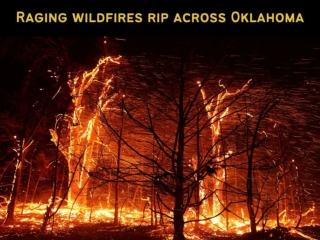 Raging wildfires rip across Oklahoma