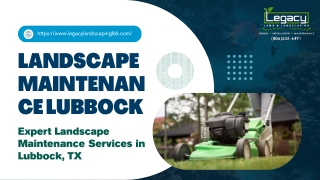 Expert Landscape Maintenance Services in Lubbock, TX