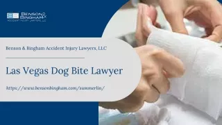 Las Vegas Dog Bite Lawyer | Benson & Bingham
