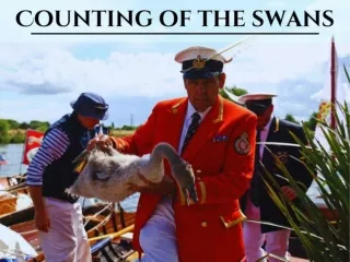 Counting of the swans