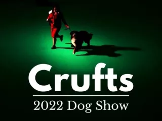 Crufts Dog Show 2022