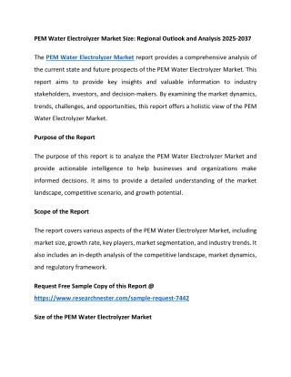 PEM Water Electrolyzer Market Size: Regional Outlook and Analysis 2025-2037