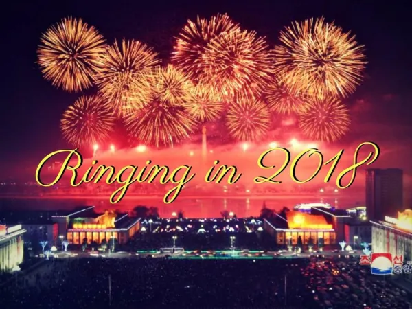 Ringing in 2018