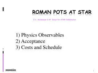 Roman Pots at STAR