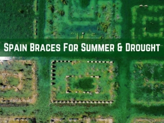 Spain's parched landscape braces for summer of drought