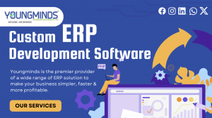 Custom ERP Software Development Company 