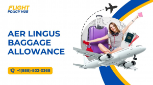 Everything You Need to Know About Aer Lingus Baggage Allowance