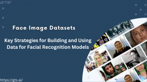 Face Image Datasets: Key Strategies for Building and Using Data for Facial Recognition Models